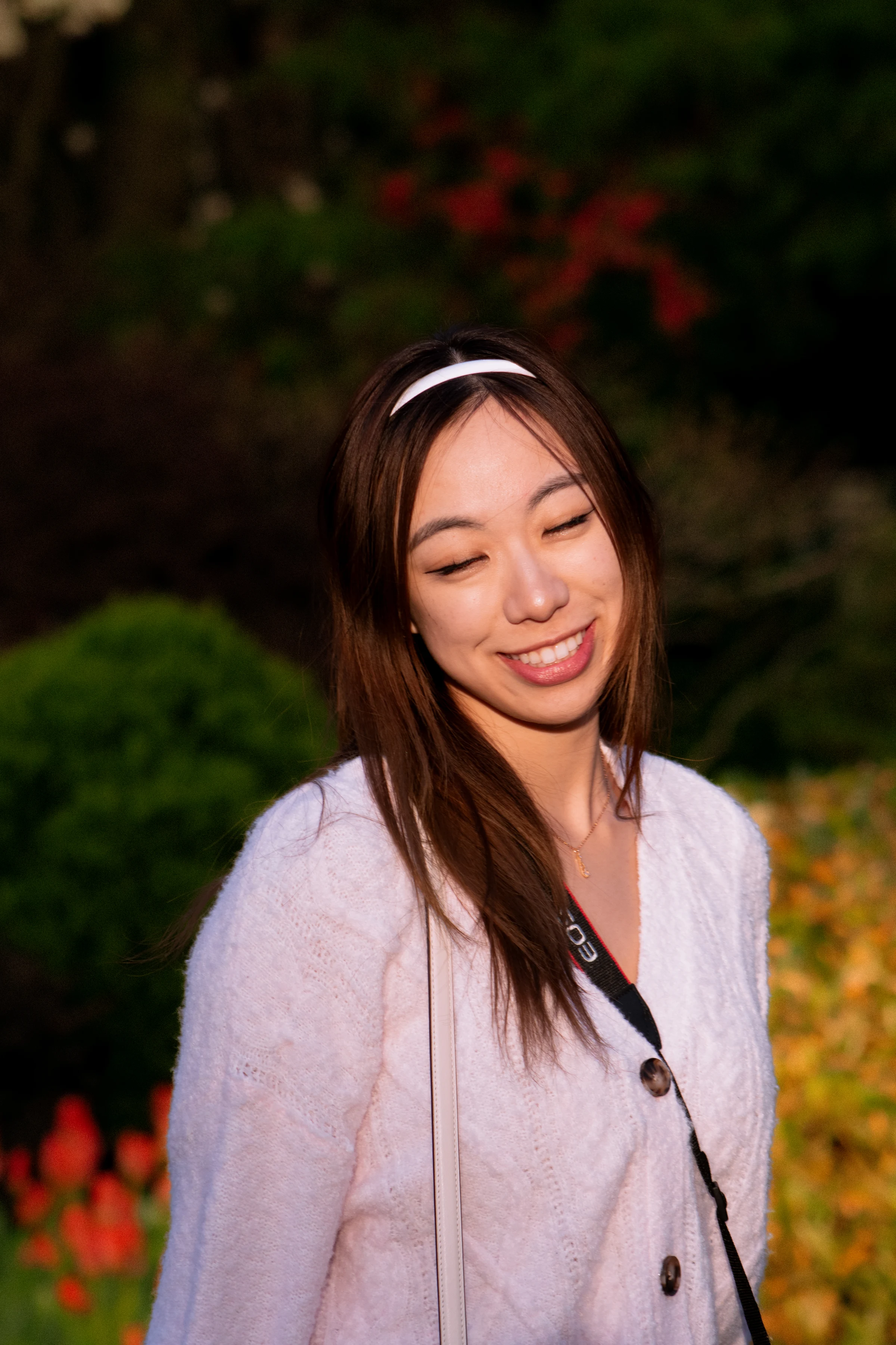 Portfolio photograph 4
