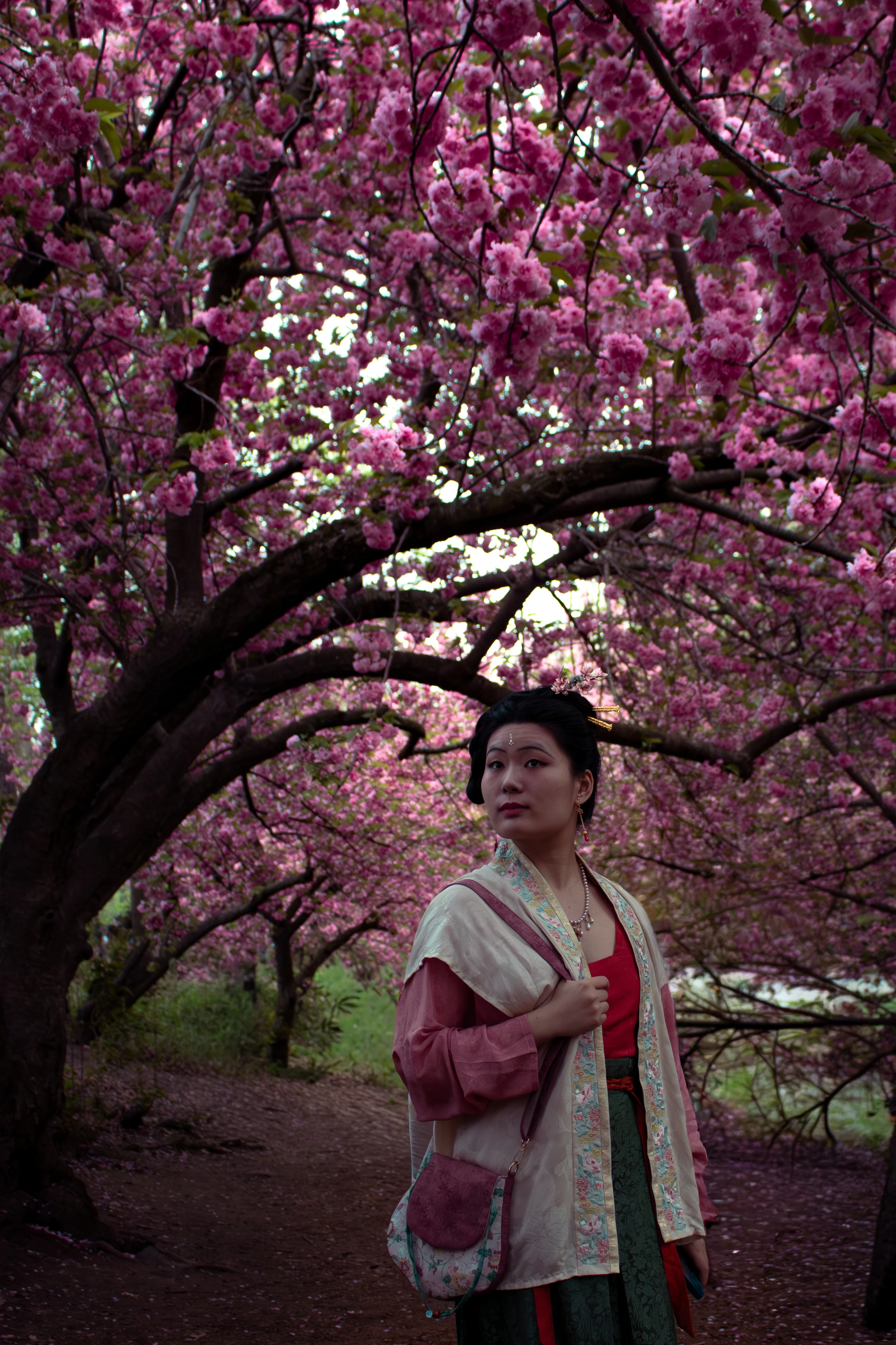 Portfolio photograph 8