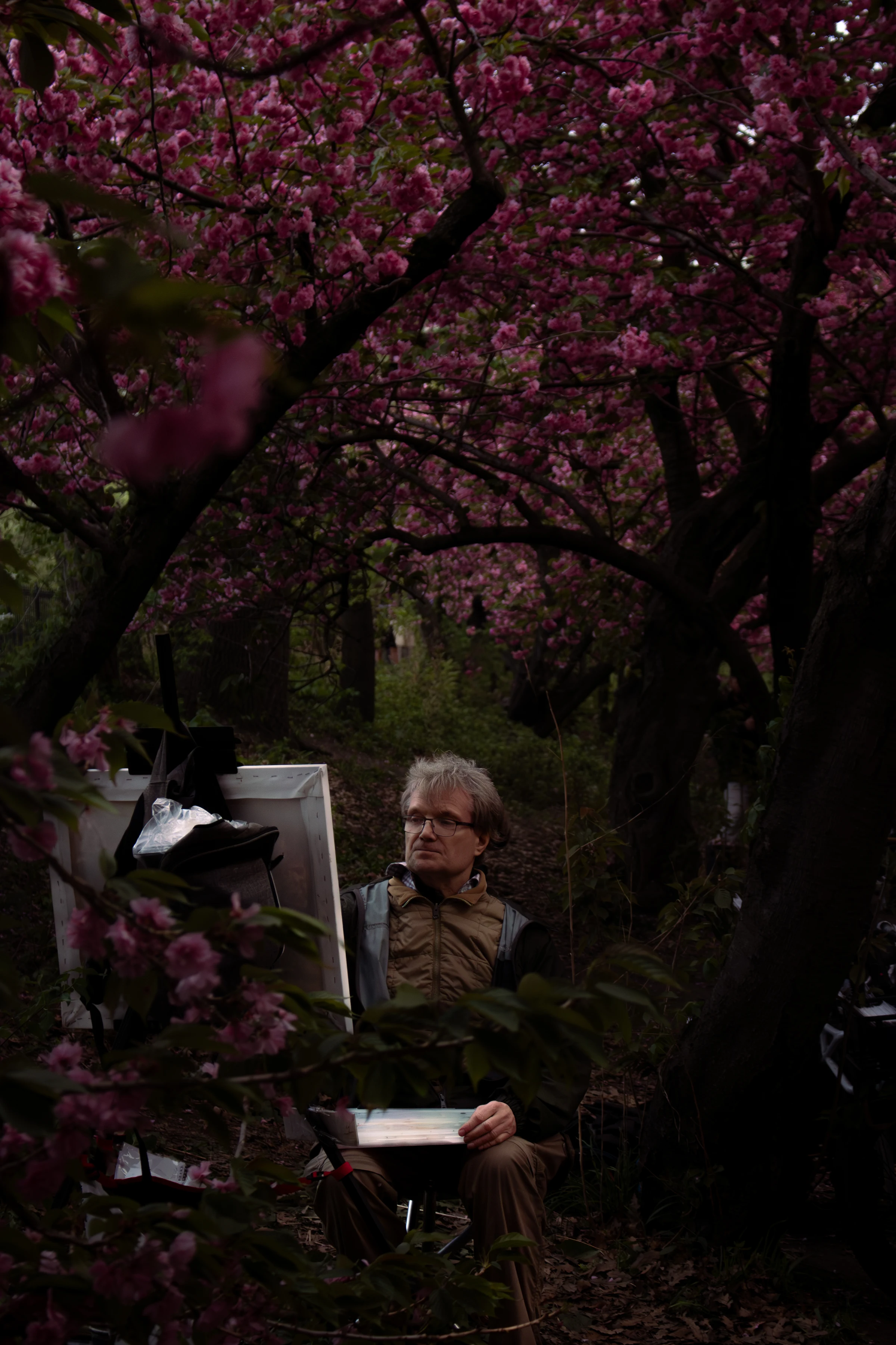 Portfolio photograph 9